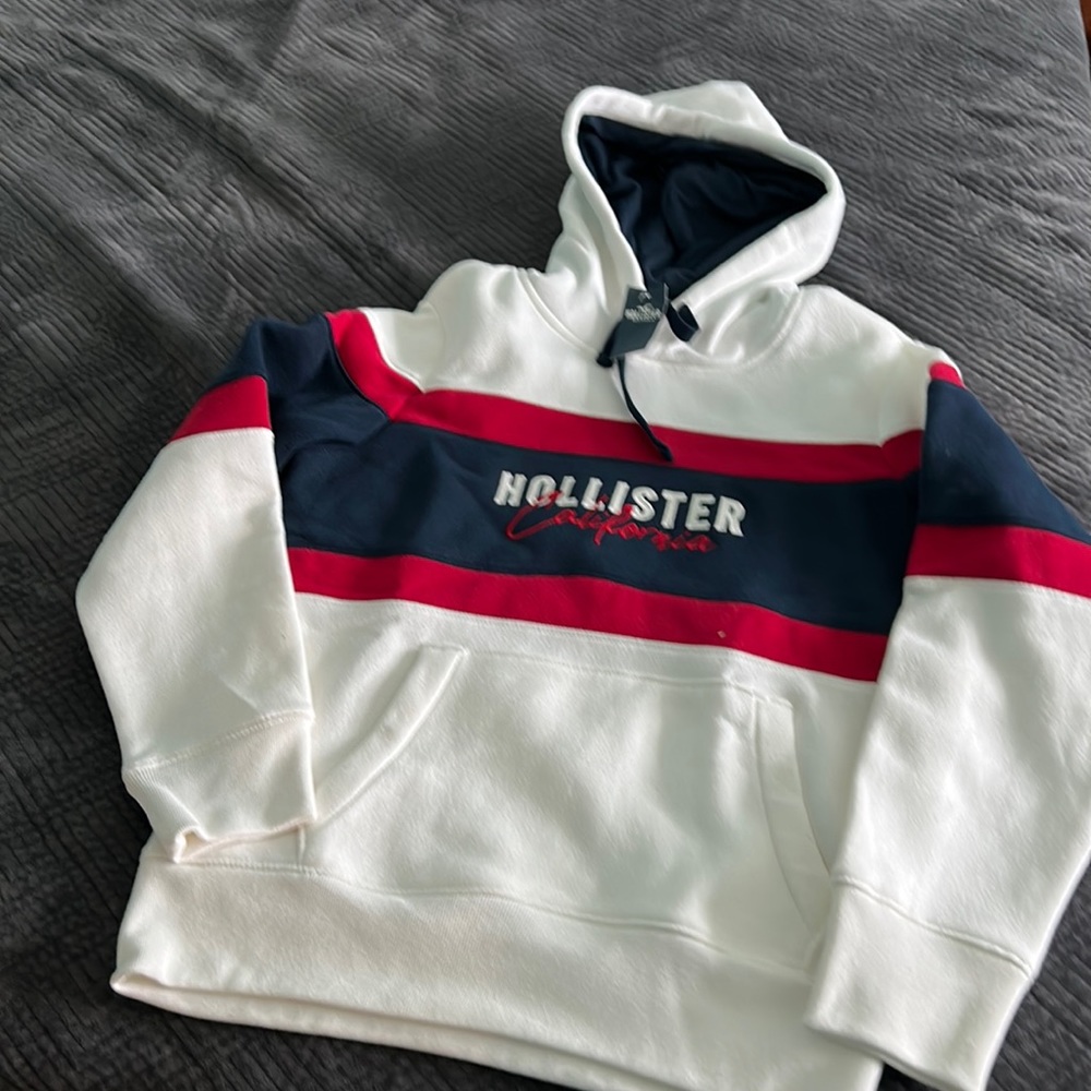 Brand new never worn hoodie from Hollister